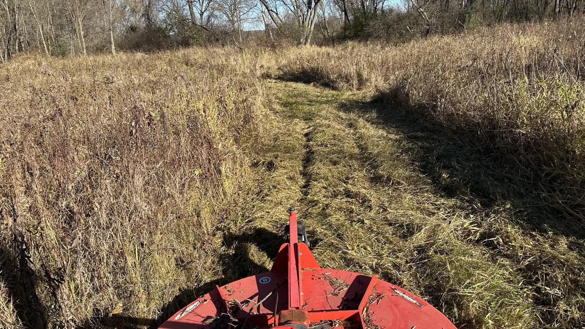 Brush Clearing Cost in Wisconsin: Per Acre and What to Expect