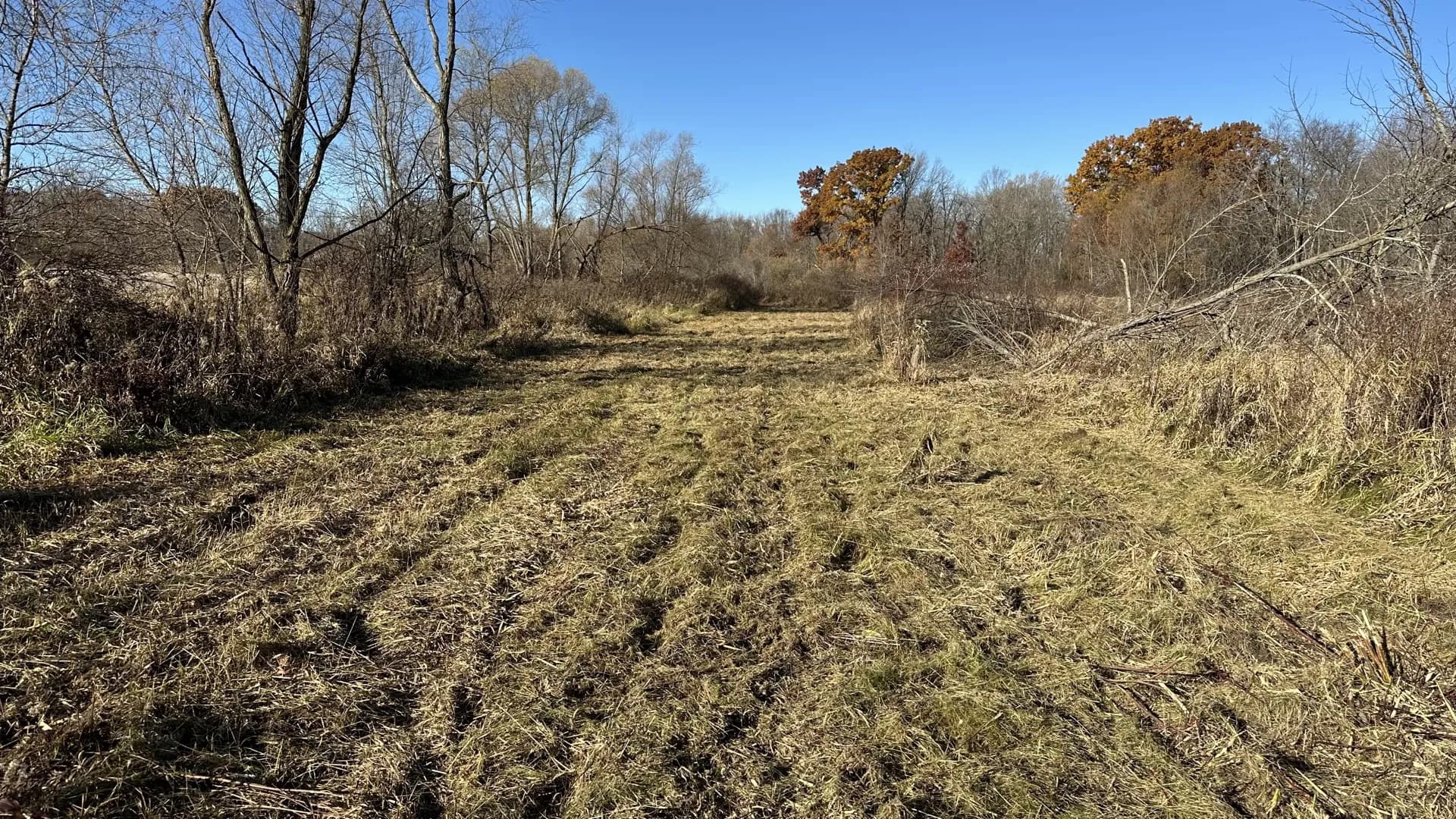 Food Plots services near Mauston, Wisconsin