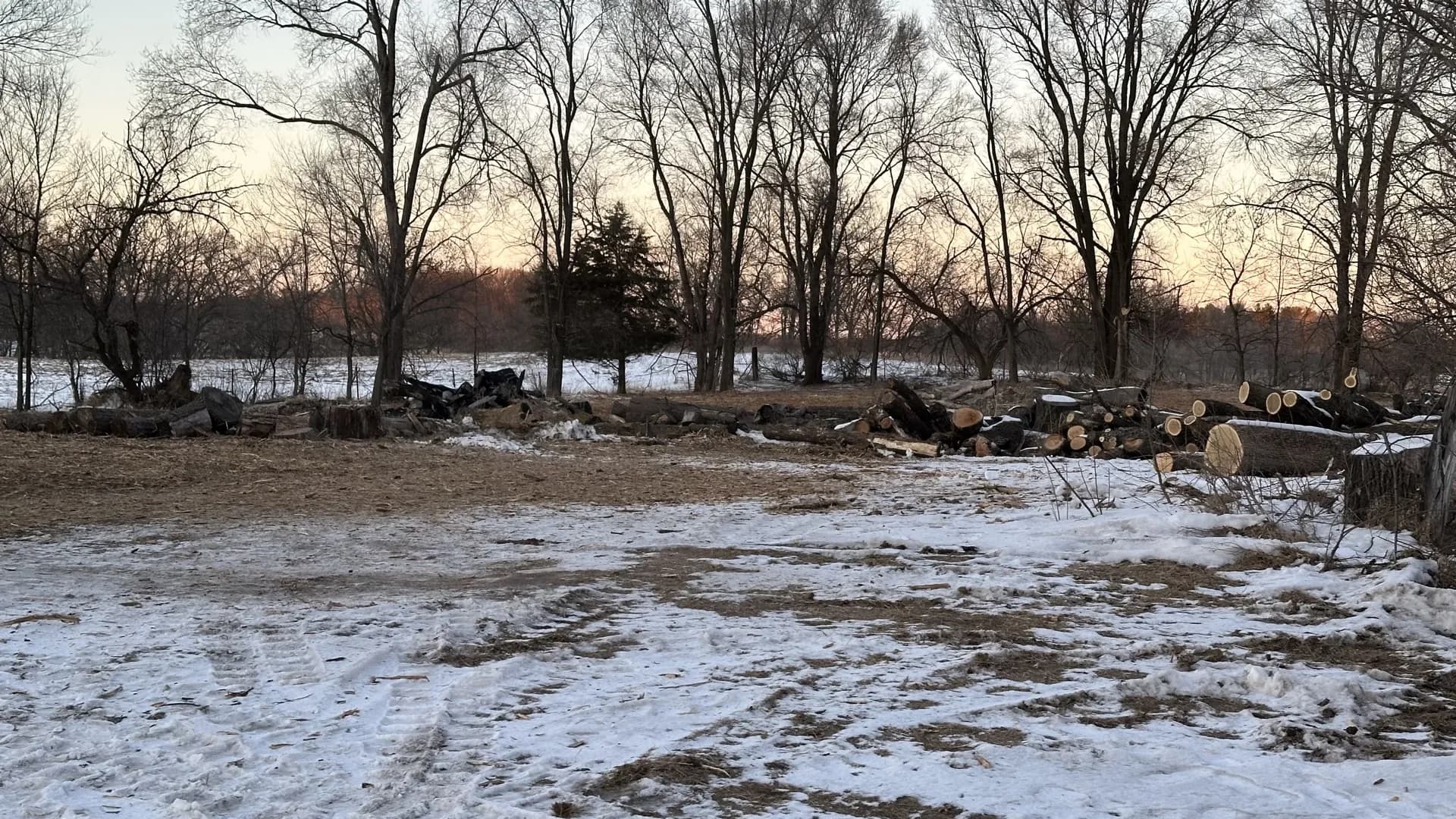 Storm damage cleanup and tree removal in central Wisconsin