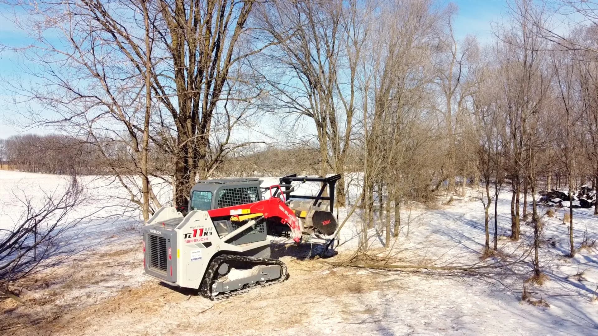 Takeuchi skid steer with forestry mulcher head clearing trees in central Wisconsin
