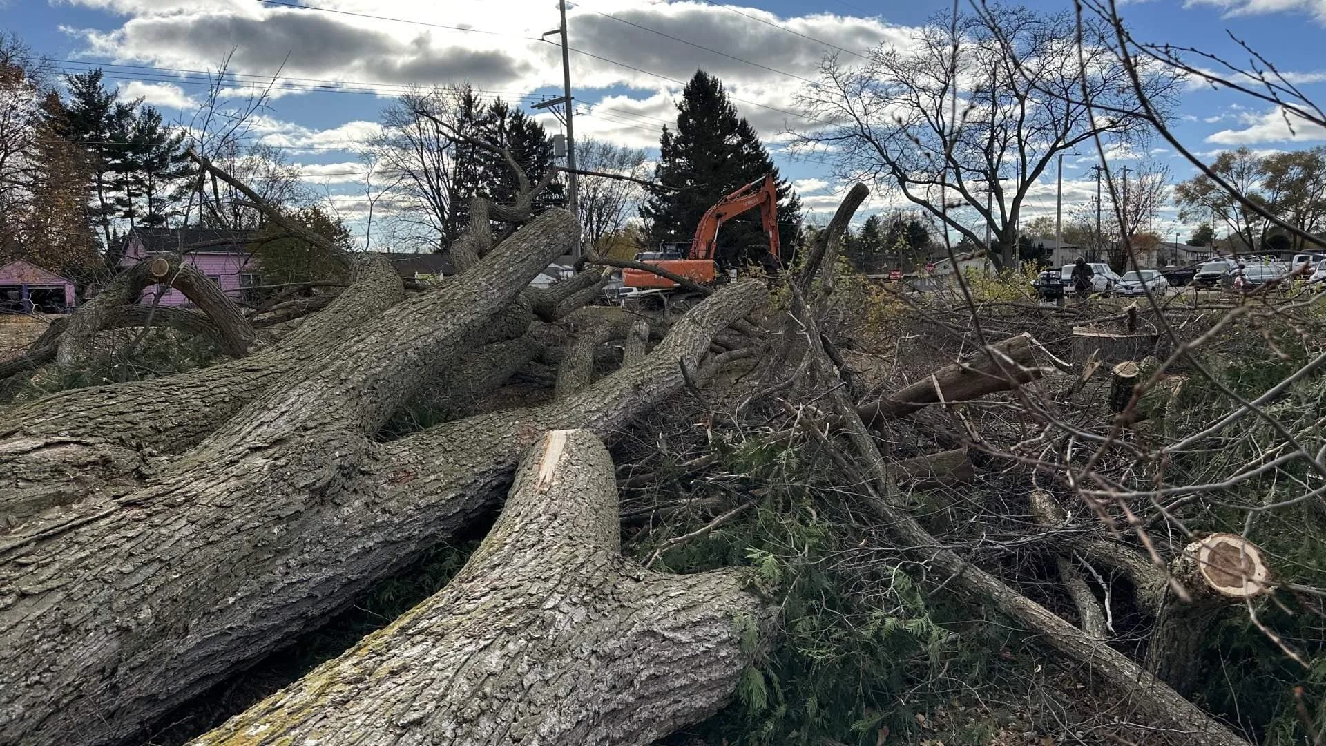 Excavator removing trees during a land clearing project
