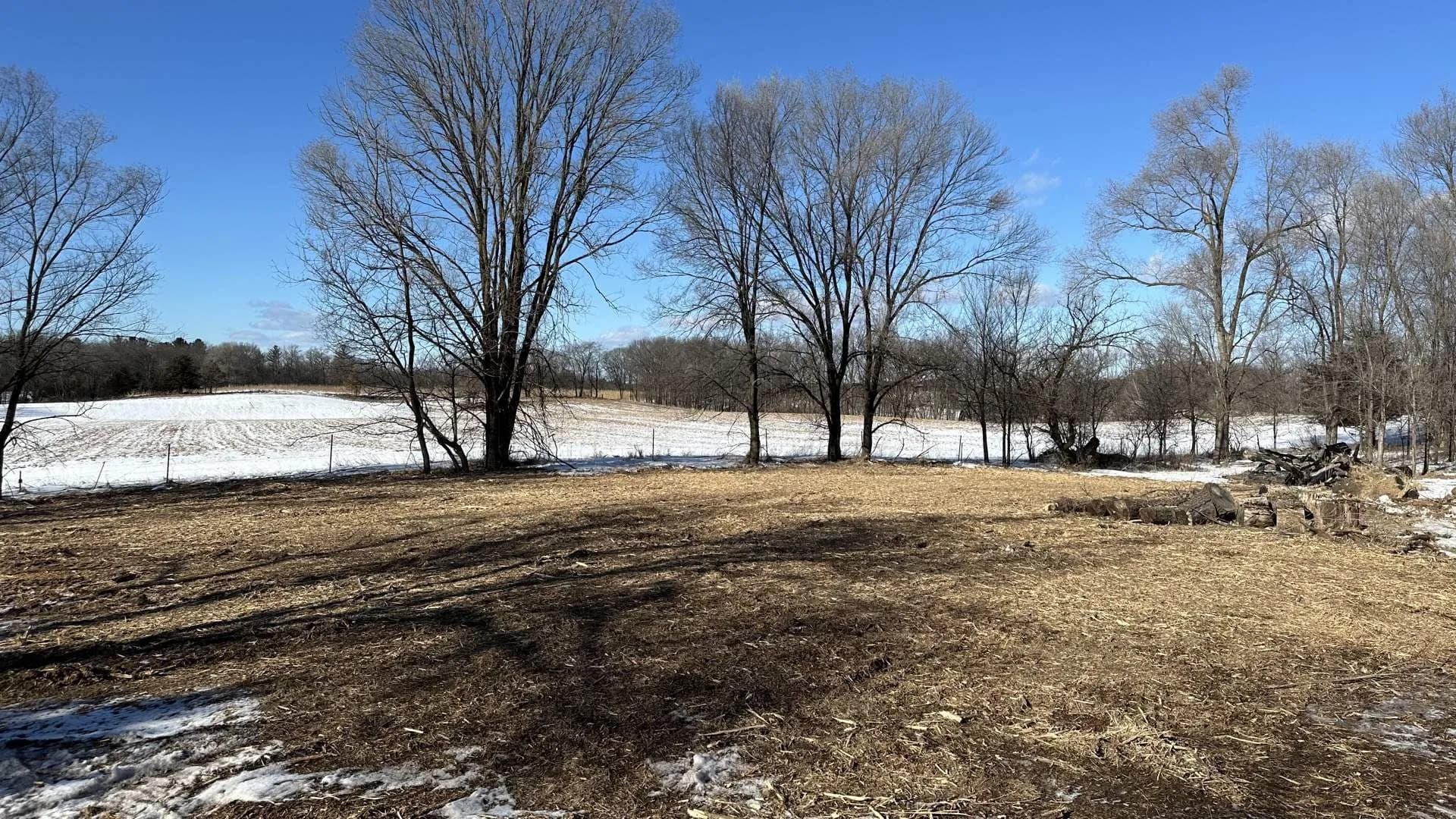 Land Clearing Cost Per Acre in Wisconsin (2026 Prices)